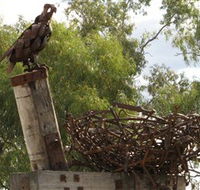 Blackall Sculpture Trail - Accommodation BNB