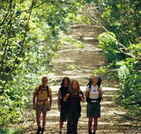 Wet Tropics Great Walk - Accommodation BNB