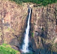 Buujan Quiinbiira Walk Wet Tropics Great Walk - Accommodation BNB