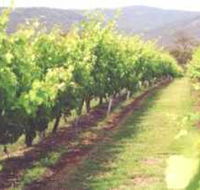 Girraween Estate - Accommodation BNB