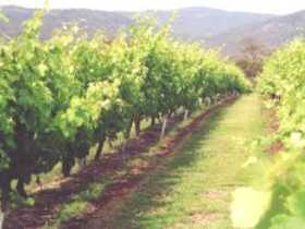 Girraween Estate - Accommodation BNB 0
