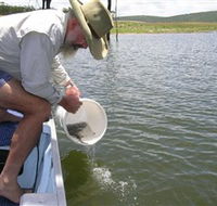 Eungella Dam - Accommodation BNB