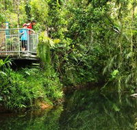 Djiru National Park - Accommodation BNB