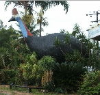 The Big Cassowary - Accommodation BNB