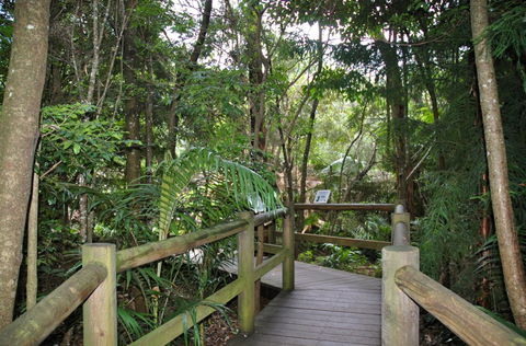Cedar Creek Estate - Accommodation BNB 1