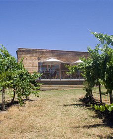 Shantell Vineyard - Accommodation BNB 0