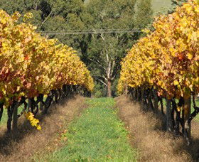 Wild Dog Winery & Restaurant - Accommodation BNB 0