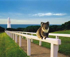 Cape Otway Lightstation - Accommodation BNB 0
