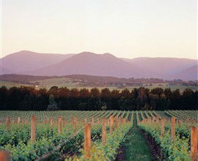 Domaine Chandon - Accommodation BNB 0