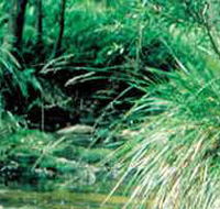 Lerderderg State Park - Accommodation BNB
