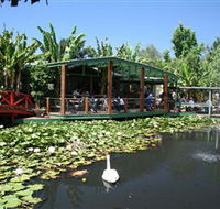 Blue Lotus Water Garden - Accommodation BNB