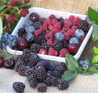 Bright Berry Farms - Accommodation BNB