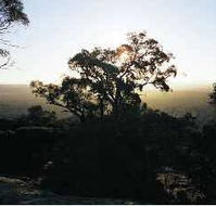 Yarra Flats - Accommodation BNB