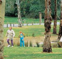 Westerfolds Park - Accommodation BNB