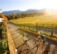 Boyntons Feathertop Winery - Accommodation BNB