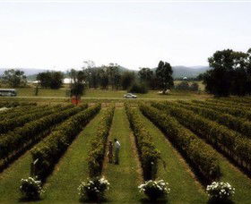 Rochford Wines - Accommodation BNB 0