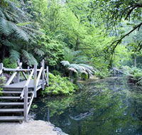 Alfred Nicholas Gardens - Accommodation BNB