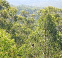 Bunyip State Park - Accommodation BNB