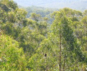 Bunyip State Park - Accommodation BNB 0