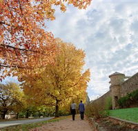 Beechworth Historic Park - Accommodation BNB