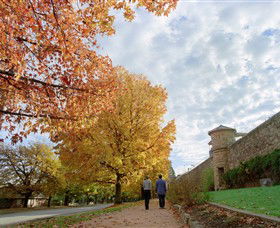 Beechworth Historic Park - Accommodation BNB 0