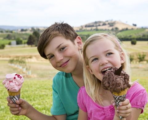 Yarra Valley Chocolaterie & Ice Creamery - Accommodation BNB 6