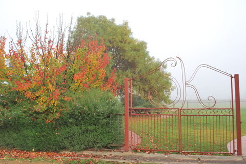 Stanton And Killeen Wines - Accommodation BNB 4