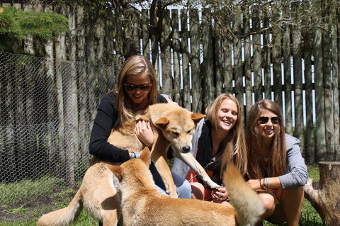 Great Ocean Road Wildlife Park - Accommodation BNB 3