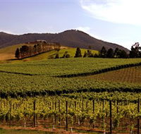 Soumah of Yarra Valley - Accommodation BNB