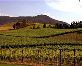 Soumah Of Yarra Valley - Accommodation BNB 0
