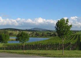 Yarrawood Estate - Accommodation BNB 0