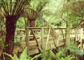 Mount Worth State Park - Accommodation BNB 0