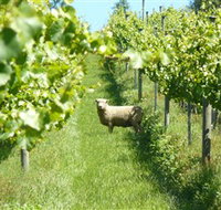 Passing Clouds - Accommodation BNB