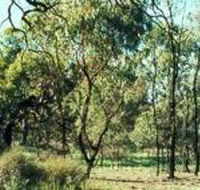 Leaghur State Park - Accommodation BNB