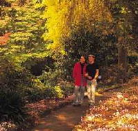 George Tindale Memorial Gardens - Accommodation BNB