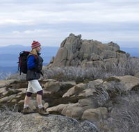 Mount Buffalo National Park - Accommodation BNB