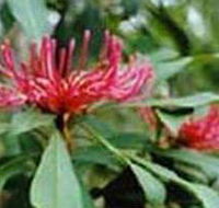 Alfred National Park - Accommodation BNB