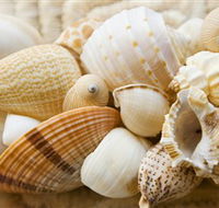 Anglesea Beach Club - Accommodation BNB