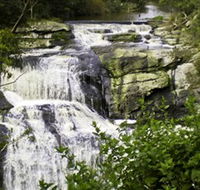 Agnes Falls Scenic Reserve - Accommodation BNB