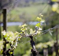 Kyneton Ridge Estate - Accommodation BNB