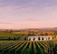 Oakridge Wines - Accommodation BNB
