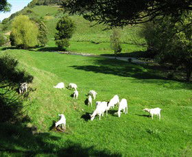 Goats Of Gaia Soap - Accommodation BNB 0