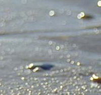 Cape Liptrap Coastal Park - Accommodation BNB