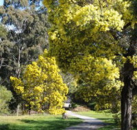 Wattle Park - Accommodation BNB