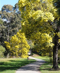 Wattle Park - Accommodation BNB 0