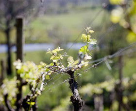 Eldridge Estate Of Red Hill - Accommodation BNB 0