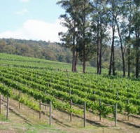 Piedmont Vineyard - Accommodation BNB