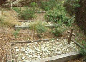 Collins Settlement Historic Site - Accommodation BNB 0