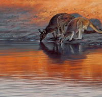 Steve Morvell Wildlife Art - Accommodation BNB