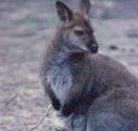 Churchill National Park - Accommodation BNB